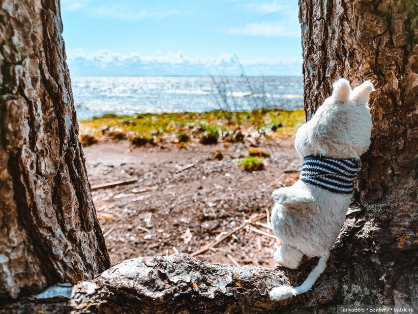 В поисках Муми-дома🏡🌳💫 — Куклы Miroxdolls (Оксана Миронова): российские БЖД