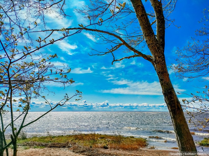 В поисках Муми-дома🏡🌳💫 — Куклы Miroxdolls (Оксана Миронова): российские БЖД