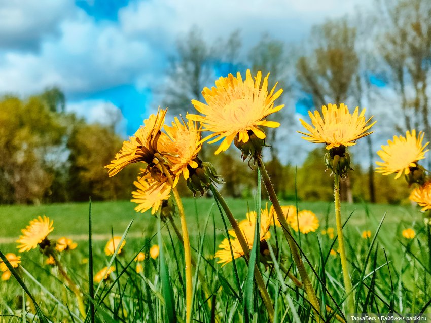 В поисках Муми-дома🏡🌳💫 — Куклы Miroxdolls (Оксана Миронова): российские БЖД