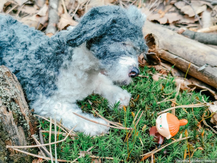 В поисках Муми-дома🏡🌳💫 — Куклы Miroxdolls (Оксана Миронова): российские БЖД