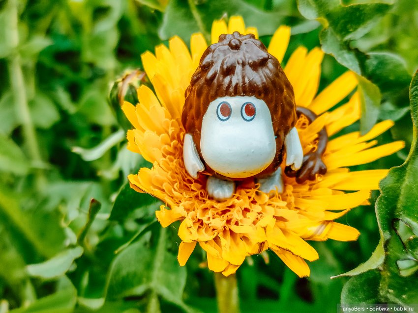 В поисках Муми-дома🏡🌳💫 — Куклы Miroxdolls (Оксана Миронова): российские БЖД