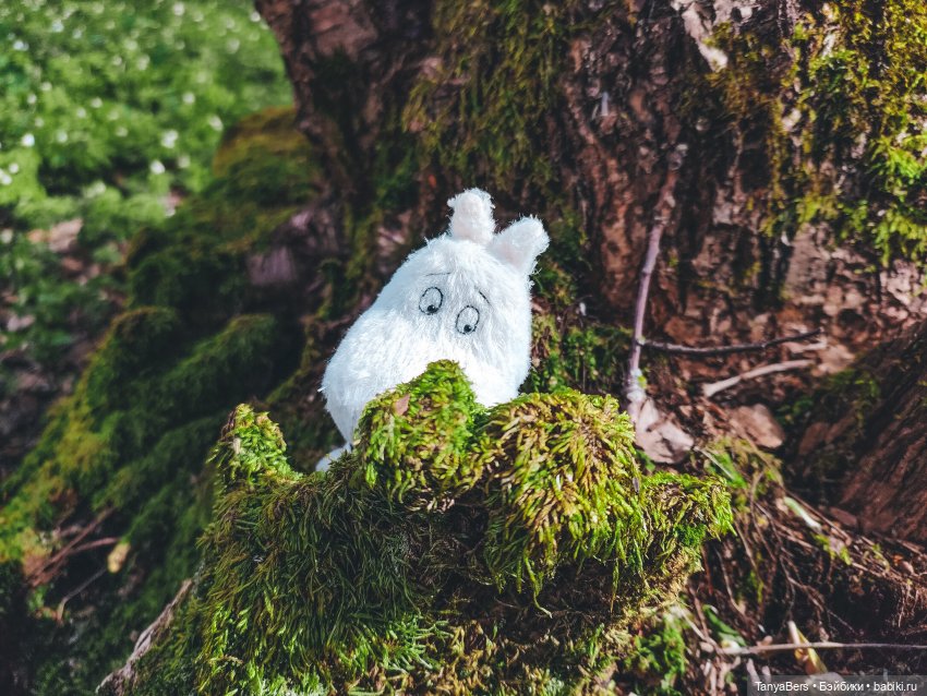 В поисках Муми-дома🏡🌳💫 — Куклы Miroxdolls (Оксана Миронова): российские БЖД