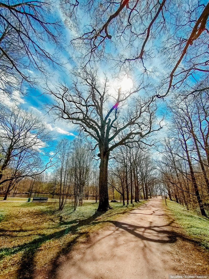 В поисках Муми-дома🏡🌳💫 — Куклы Miroxdolls (Оксана Миронова): российские БЖД