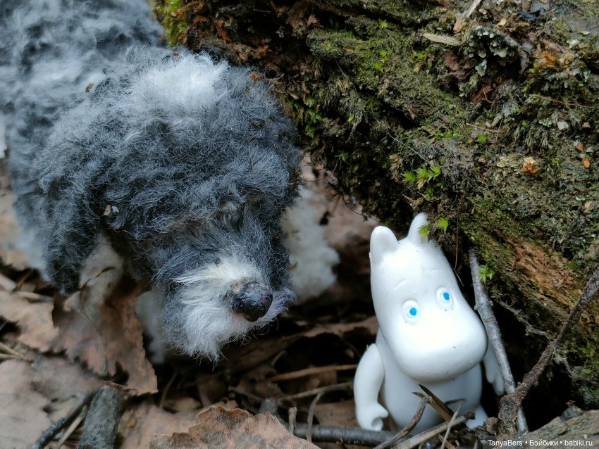 В поисках Муми-дома🏡🌳💫 — Куклы Miroxdolls (Оксана Миронова): российские БЖД