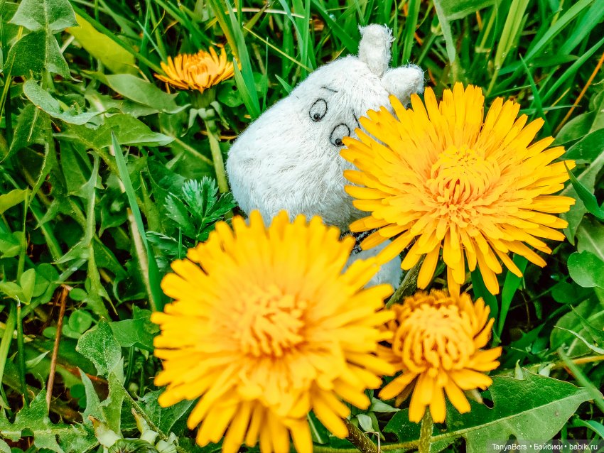 В поисках Муми-дома🏡🌳💫 — Куклы Miroxdolls (Оксана Миронова): российские БЖД (фото 6)