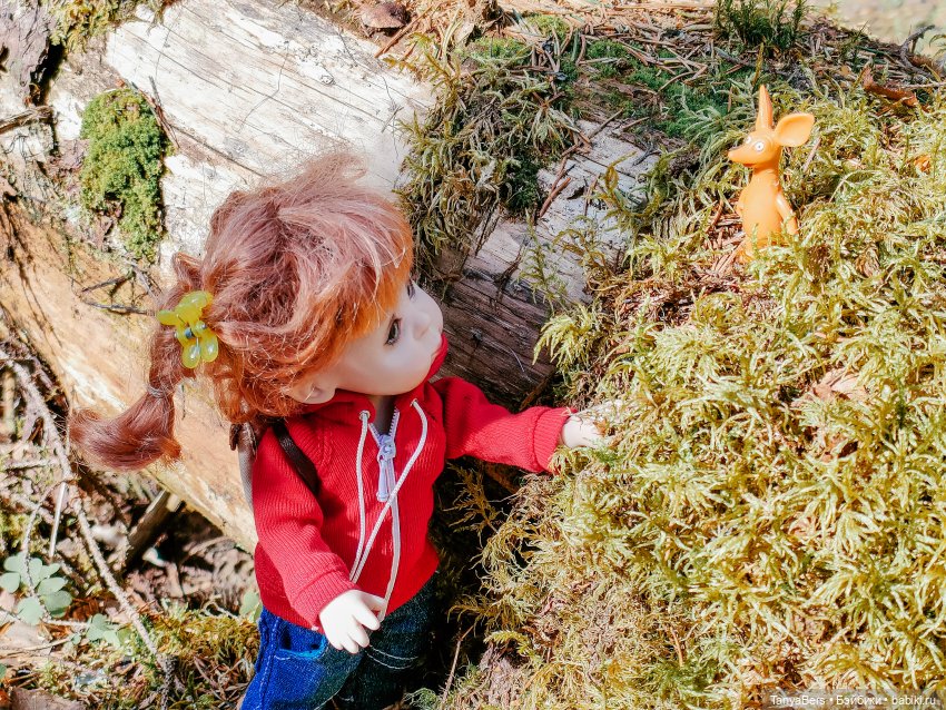В поисках Муми-дома🏡🌳💫 — Куклы Miroxdolls (Оксана Миронова): российские БЖД