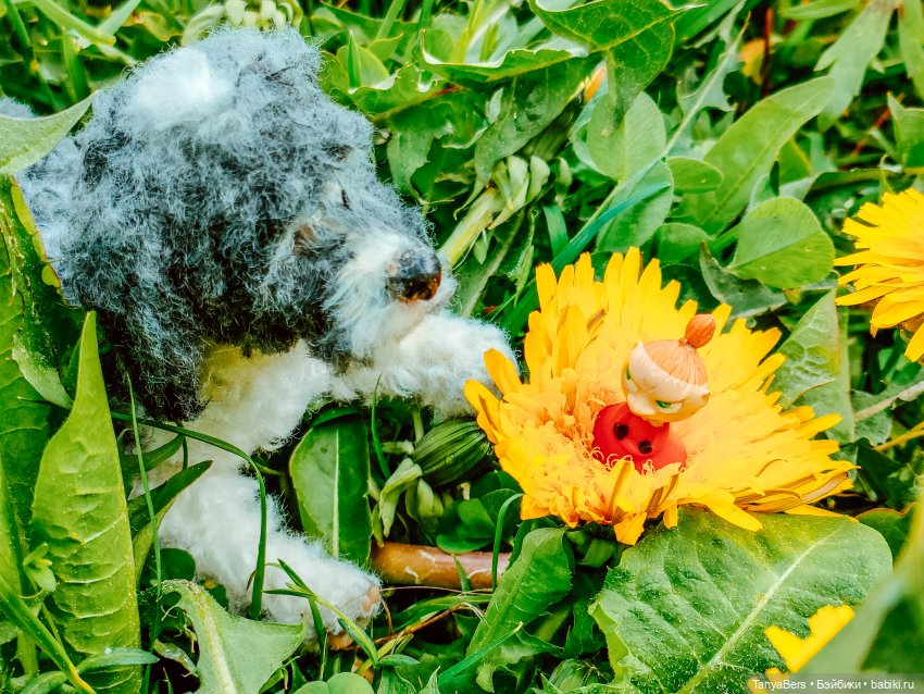 В поисках Муми-дома🏡🌳💫 — Куклы Miroxdolls (Оксана Миронова): российские БЖД