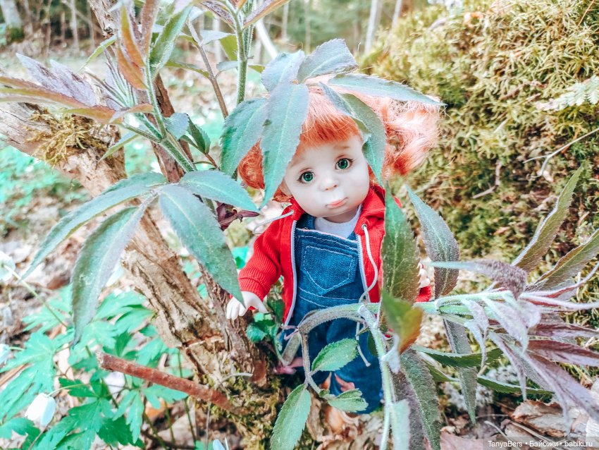 В поисках Муми-дома🏡🌳💫 — Куклы Miroxdolls (Оксана Миронова): российские БЖД