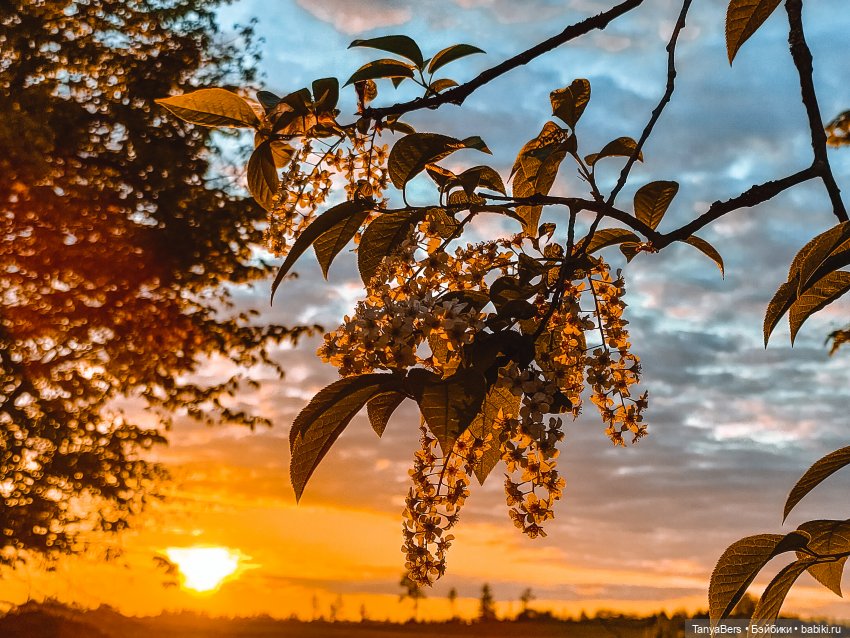 В поисках Муми-дома🏡🌳💫 — Куклы Miroxdolls (Оксана Миронова): российские БЖД