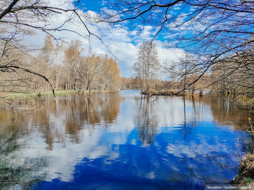 В поисках Муми-дома🏡🌳💫 — Куклы Miroxdolls (Оксана Миронова): российские БЖД