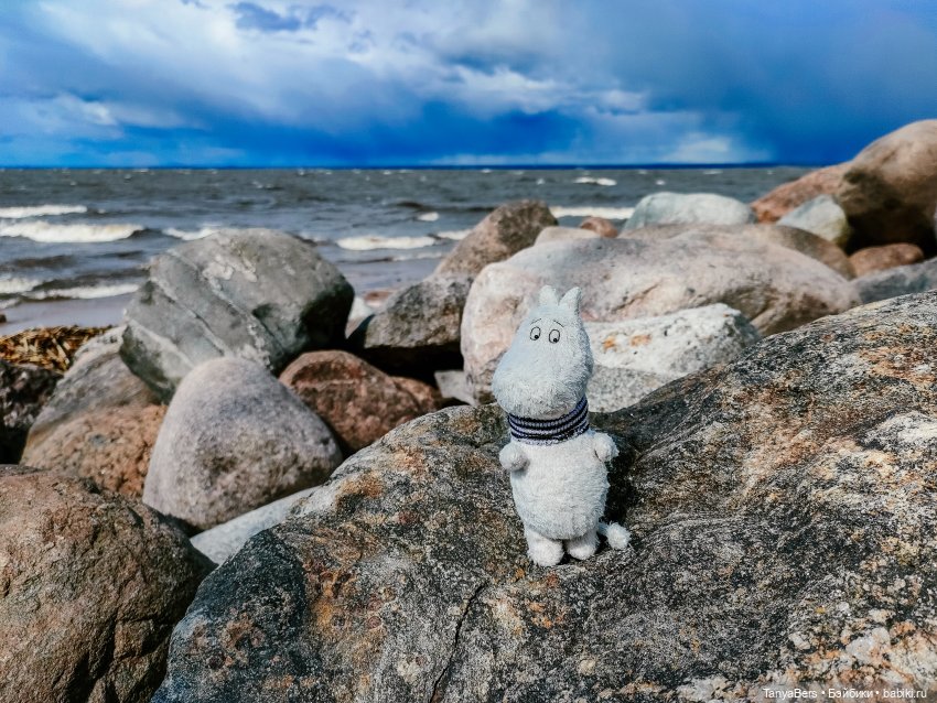 В поисках Муми-дома🏡🌳💫 — Куклы Miroxdolls (Оксана Миронова): российские БЖД