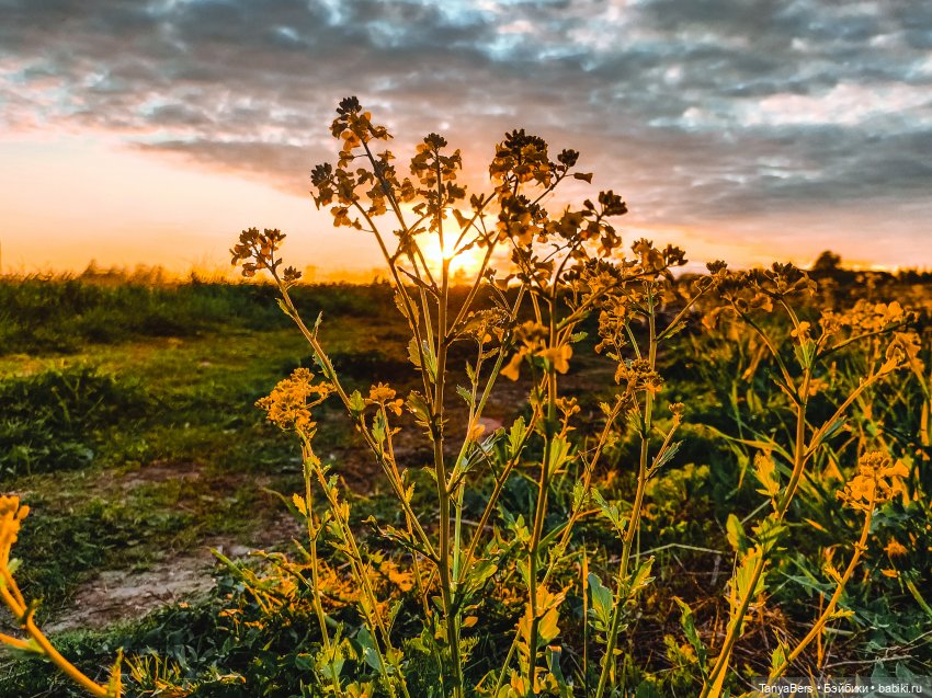 В поисках Муми-дома🏡🌳💫 — Куклы Miroxdolls (Оксана Миронова): российские БЖД
