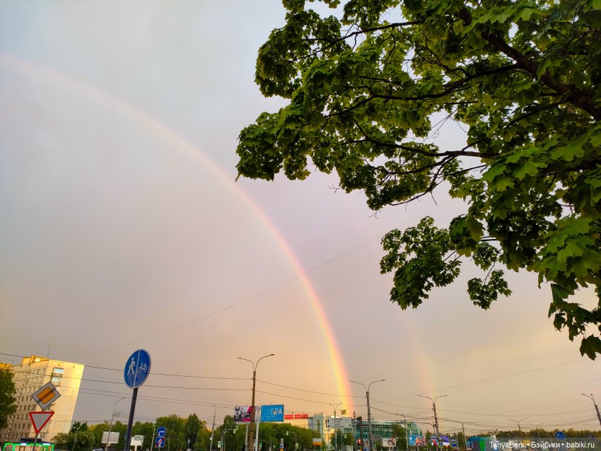 Из лета в Новый год 🎄✨ — Азиатские виниловые куклы (разное): Китай