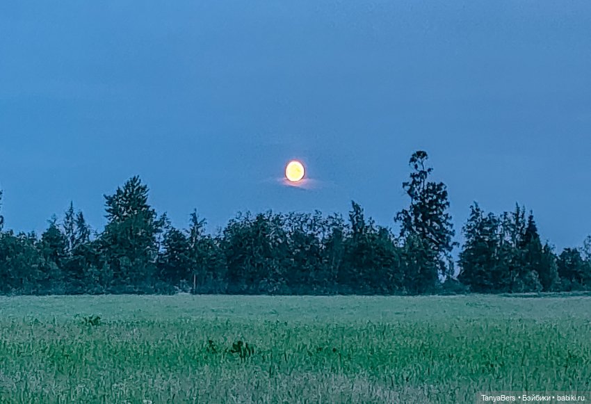 Из лета в Новый год 🎄✨ — Азиатские виниловые куклы (разное): Китай