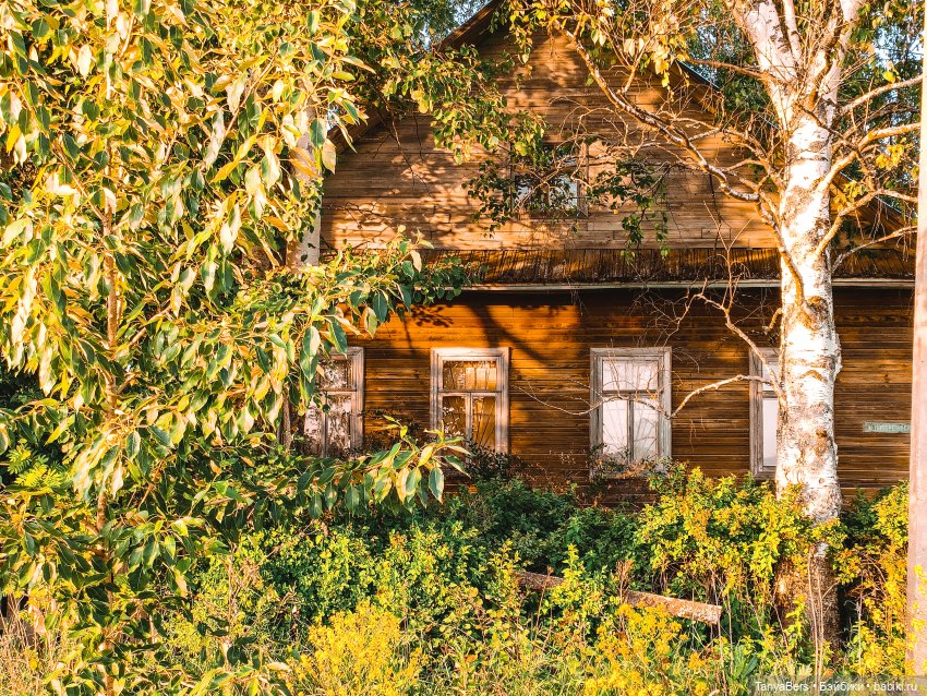Из лета в Новый год 🎄✨ — Азиатские виниловые куклы (разное): Китай
