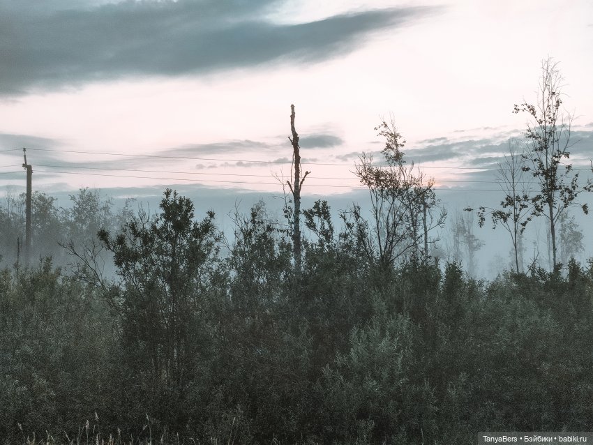 Из лета в Новый год 🎄✨ — Азиатские виниловые куклы (разное): Китай