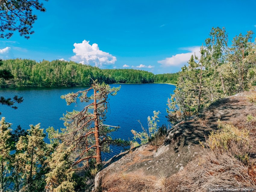 Хвостик от отпуска🌲🏞️☀️ — Азиатские виниловые куклы (разное): Китай
