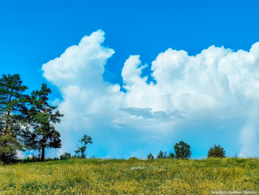 Хвостик от отпуска🌲🏞️☀️ — Азиатские виниловые куклы (разное): Китай