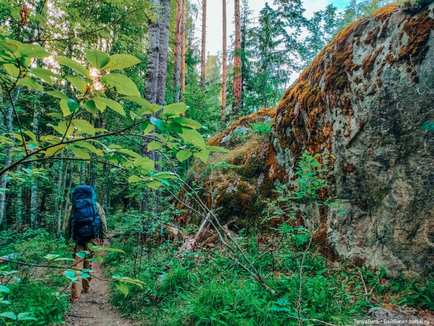 Хвостик от отпуска🌲🏞️☀️ — Азиатские виниловые куклы (разное): Китай