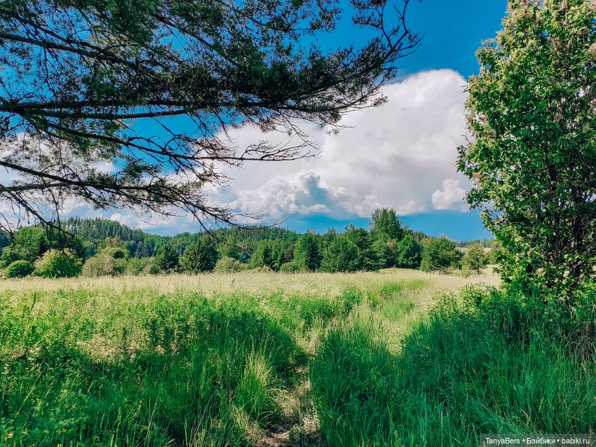 Хвостик от отпуска🌲🏞️☀️ — Азиатские виниловые куклы (разное): Китай