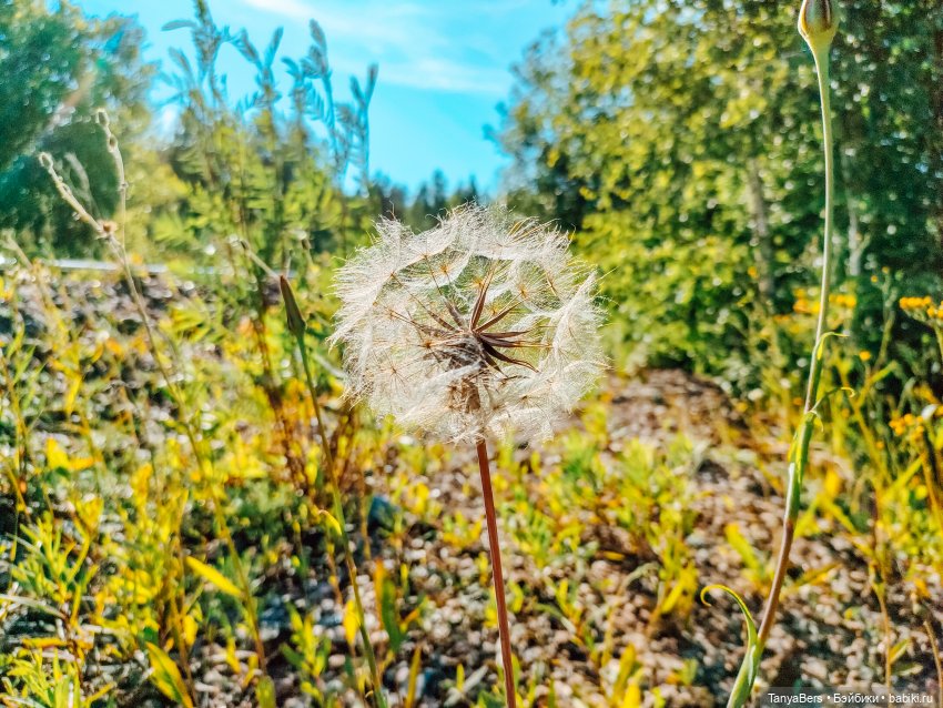 Хвостик от отпуска🌲🏞️☀️ — Азиатские виниловые куклы (разное): Китай (фото 5)