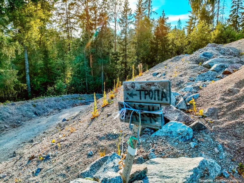 Хвостик от отпуска🌲🏞️☀️ — Азиатские виниловые куклы (разное): Китай (фото 10)