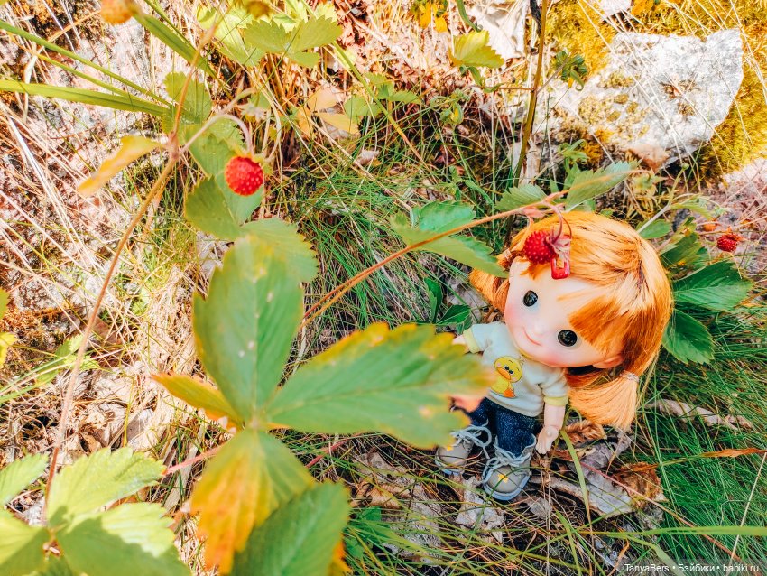 Хвостик от отпуска🌲🏞️☀️ — Азиатские виниловые куклы (разное): Китай