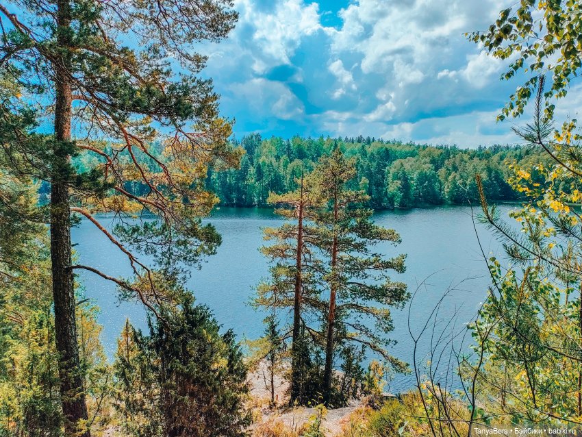 Хвостик от отпуска🌲🏞️☀️ — Азиатские виниловые куклы (разное): Китай