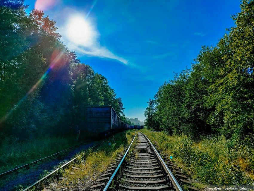 Хвостик от отпуска🌲🏞️☀️ — Азиатские виниловые куклы (разное): Китай (фото 3)