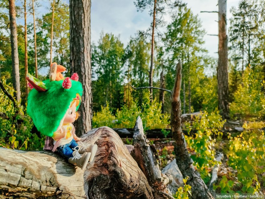 Хвостик от отпуска🌲🏞️☀️ — Азиатские виниловые куклы (разное): Китай