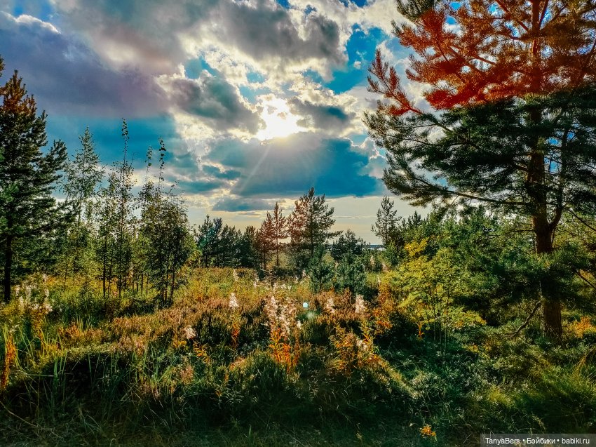 Сказка вокруг избушки 🏠👻✨