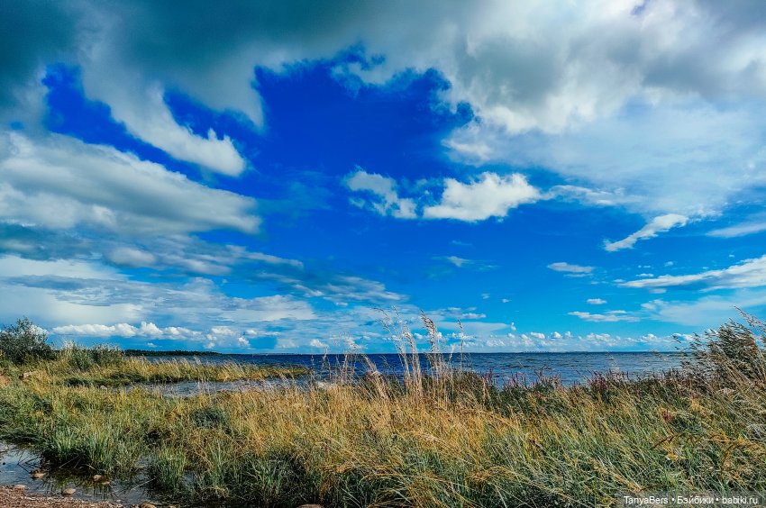 Там где живут драконы 🐉🌊✨