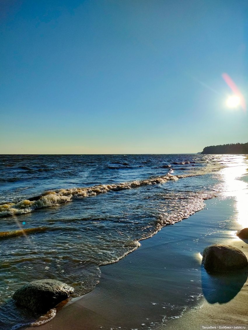 Там где живут драконы 🐉🌊✨ (фото 2)