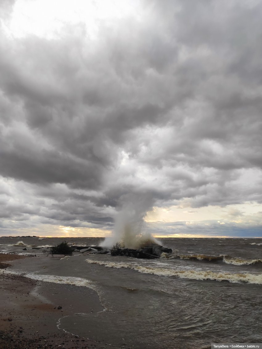 Там где живут драконы 🐉🌊✨