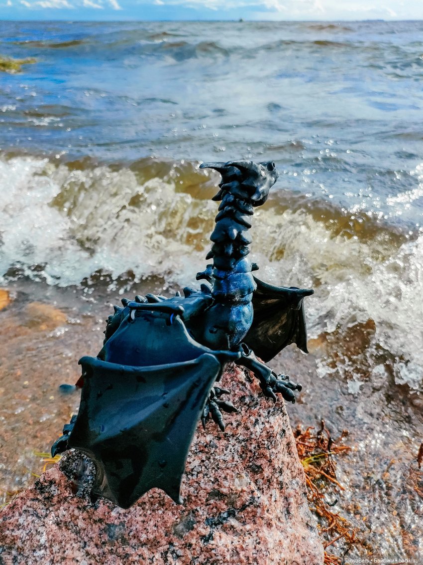 Там где живут драконы 🐉🌊✨