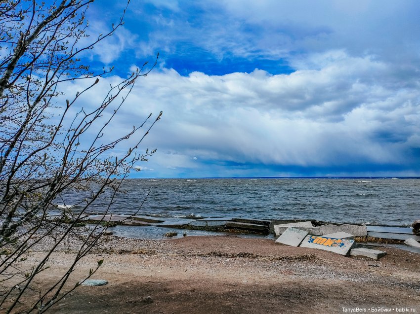 Там где живут драконы 🐉🌊✨ (фото 3)