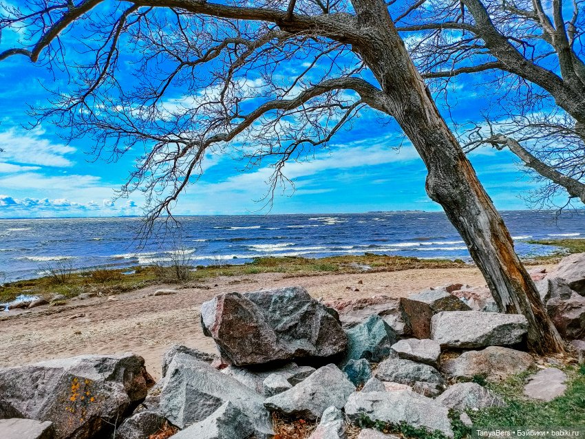 Там где живут драконы 🐉🌊✨ (фото 7)