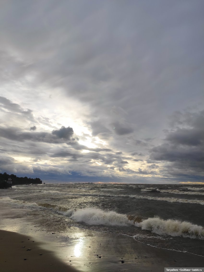 Там где живут драконы 🐉🌊✨ (фото 5)