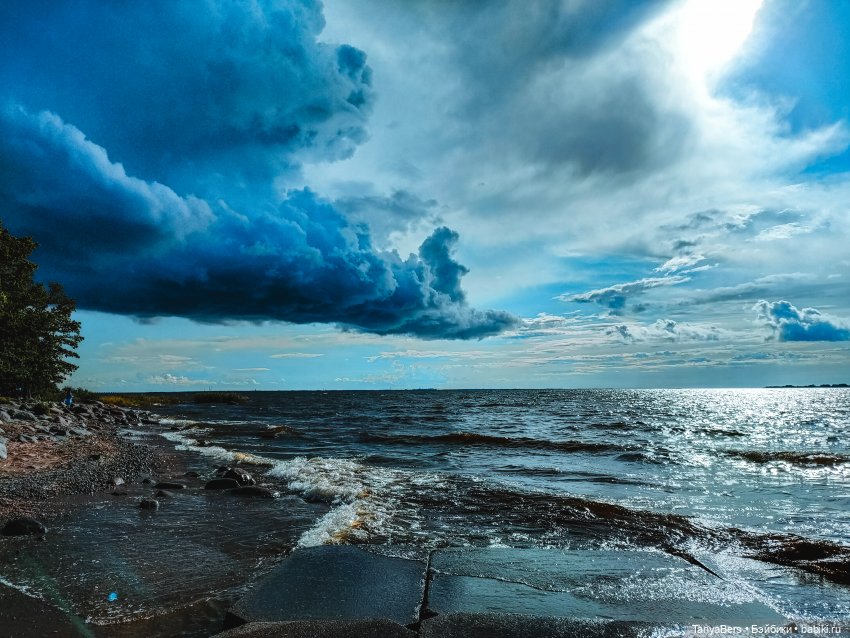 Там где живут драконы 🐉🌊✨