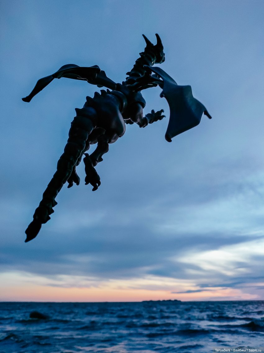 Там где живут драконы 🐉🌊✨