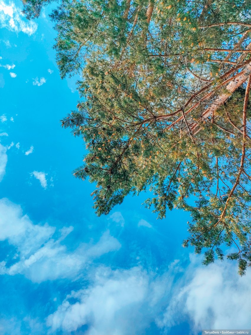 Там где живут драконы 🐉🌊✨ (фото 8)