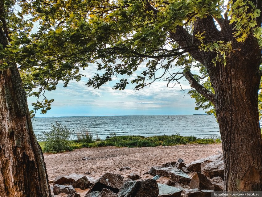 Там где живут драконы 🐉🌊✨ (фото 9)