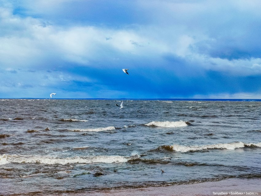 Там где живут драконы 🐉🌊✨