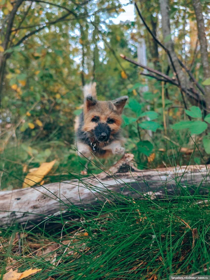 6 лет и 6 месяцев кукольных фото будней 📸🖼️✨