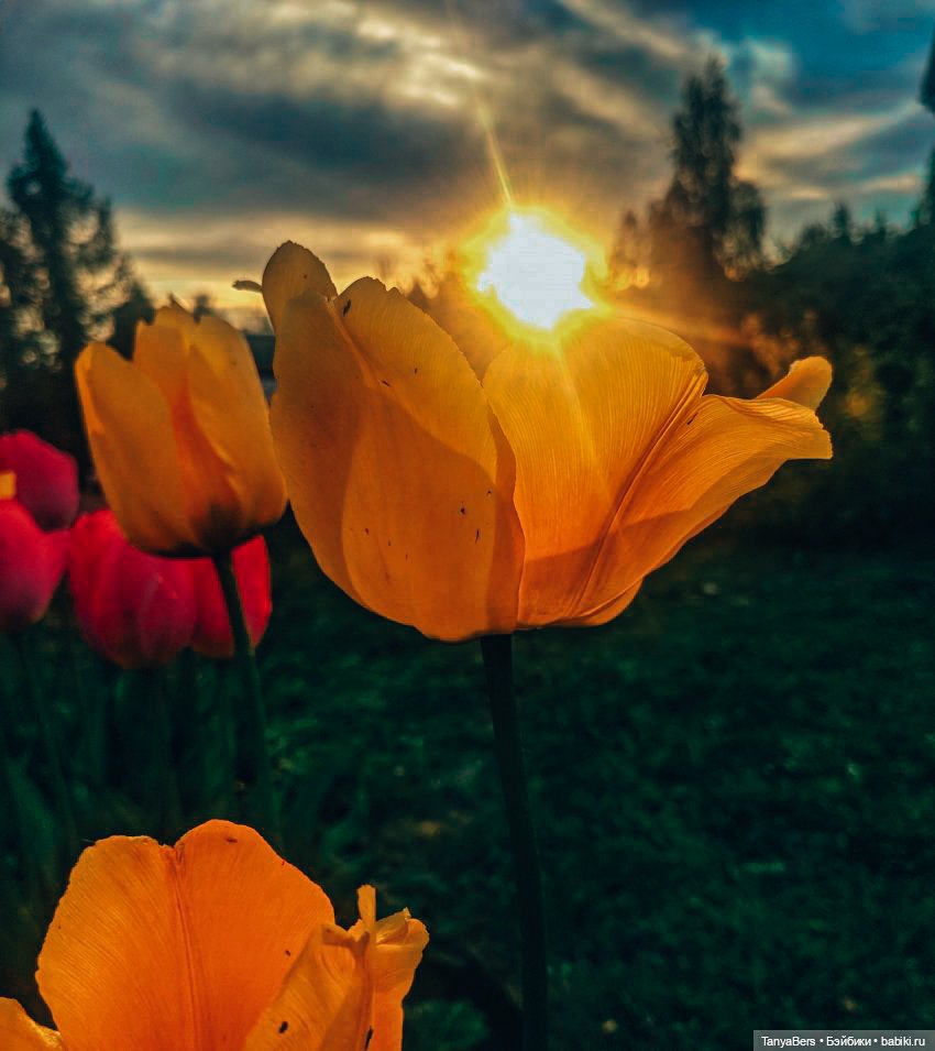 6 лет и 6 месяцев кукольных фото будней 📸🖼️✨
