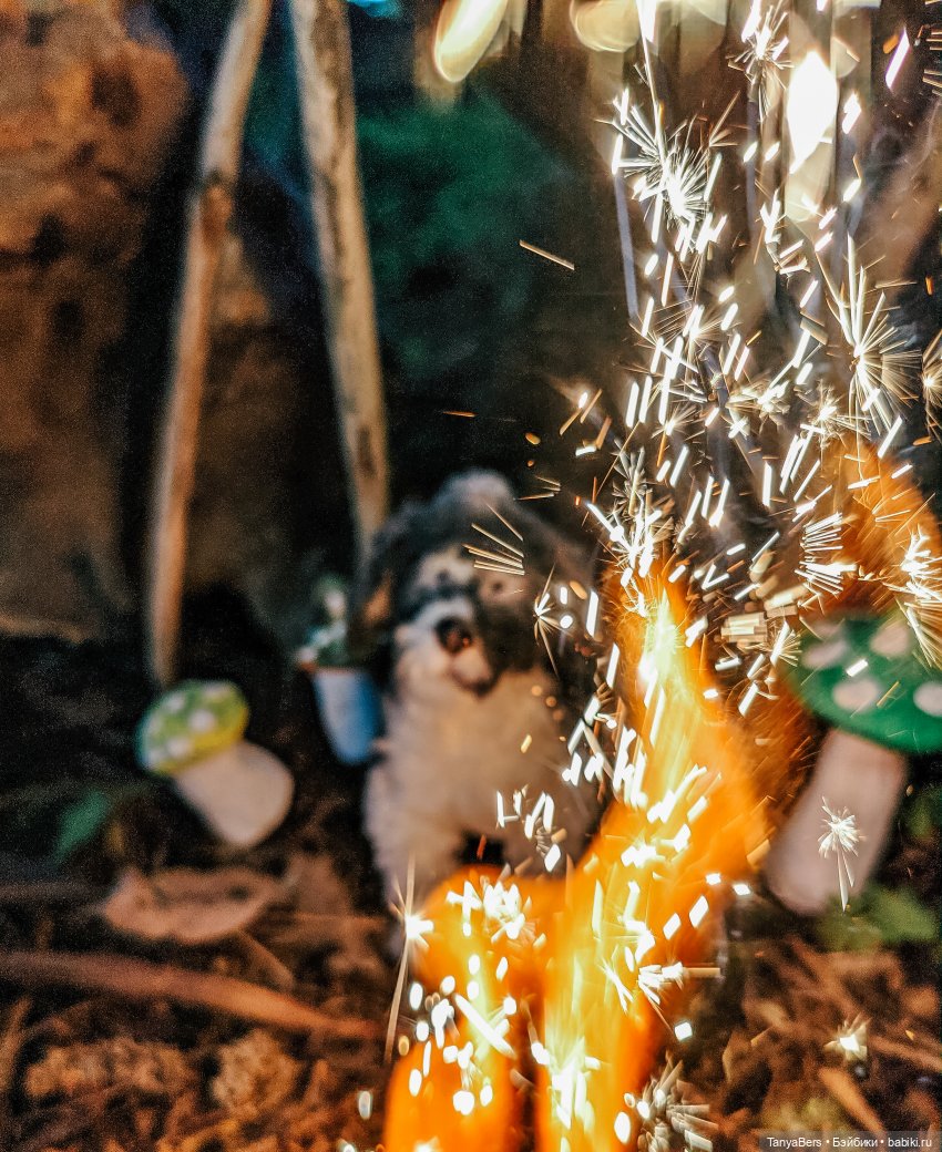 6 лет и 6 месяцев кукольных фото будней 📸🖼️✨