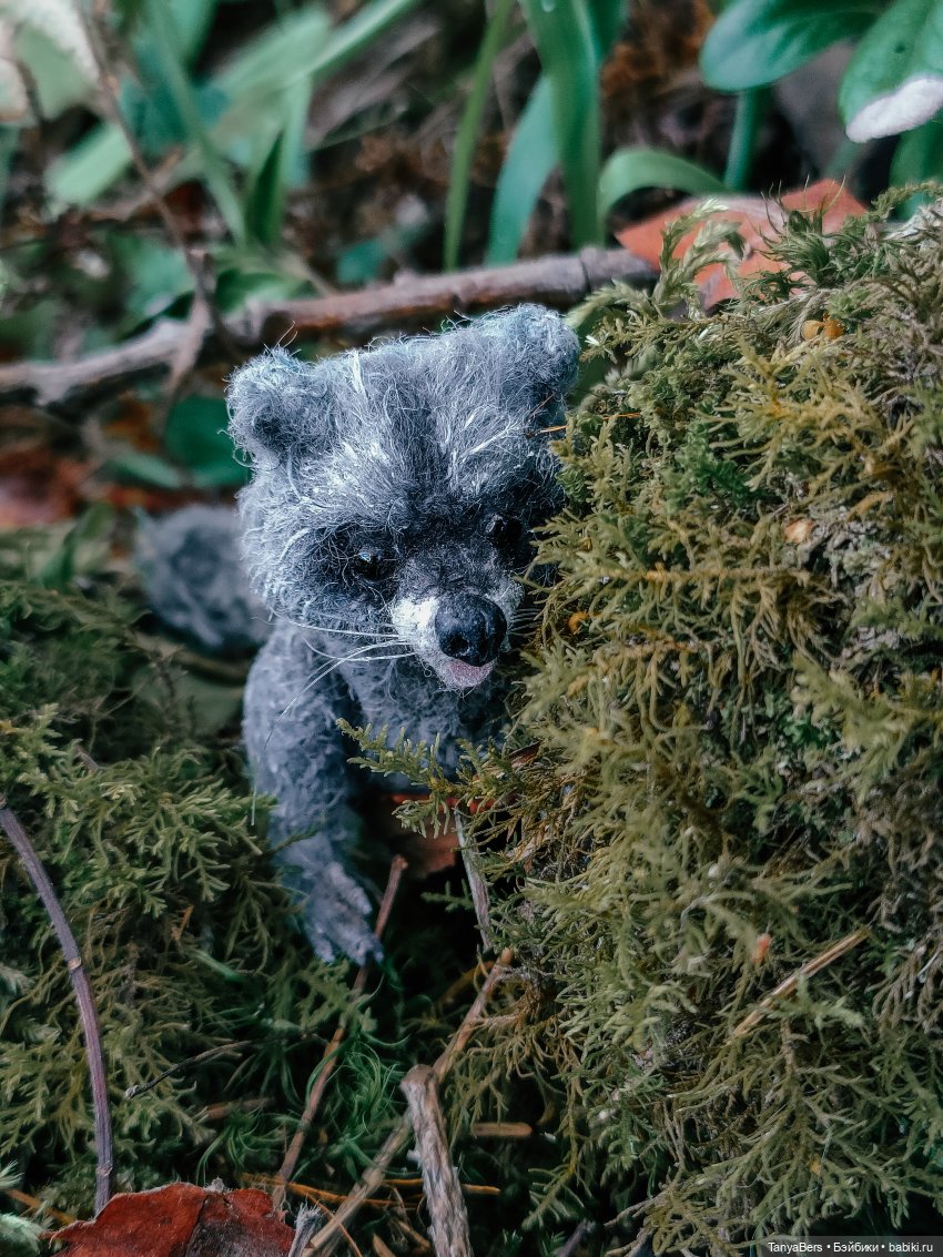 Время енота 🦝❤️✨ — Домашние фото авторских игрушек: Тедди (фото 10)