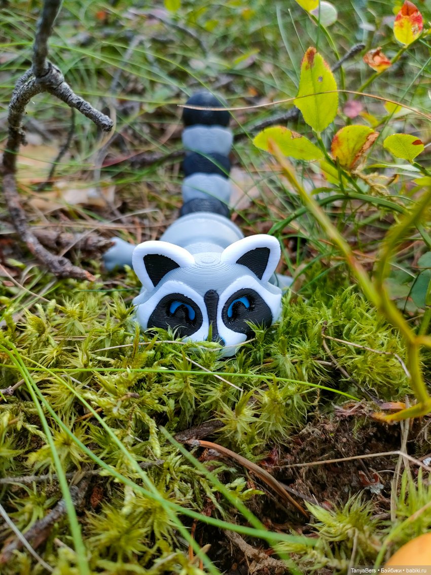 Время енота 🦝❤️✨ — Домашние фото авторских игрушек: Тедди (фото 2)