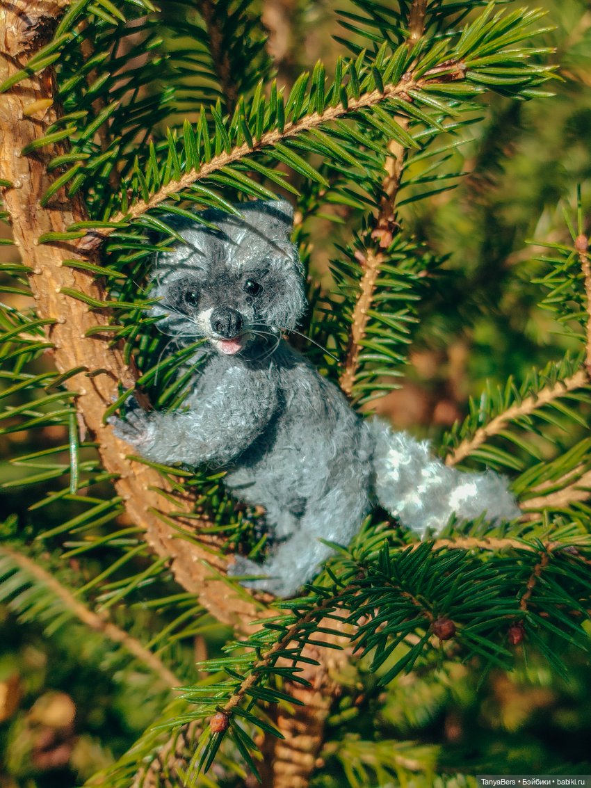 Время енота 🦝❤️✨ — Домашние фото авторских игрушек: Тедди