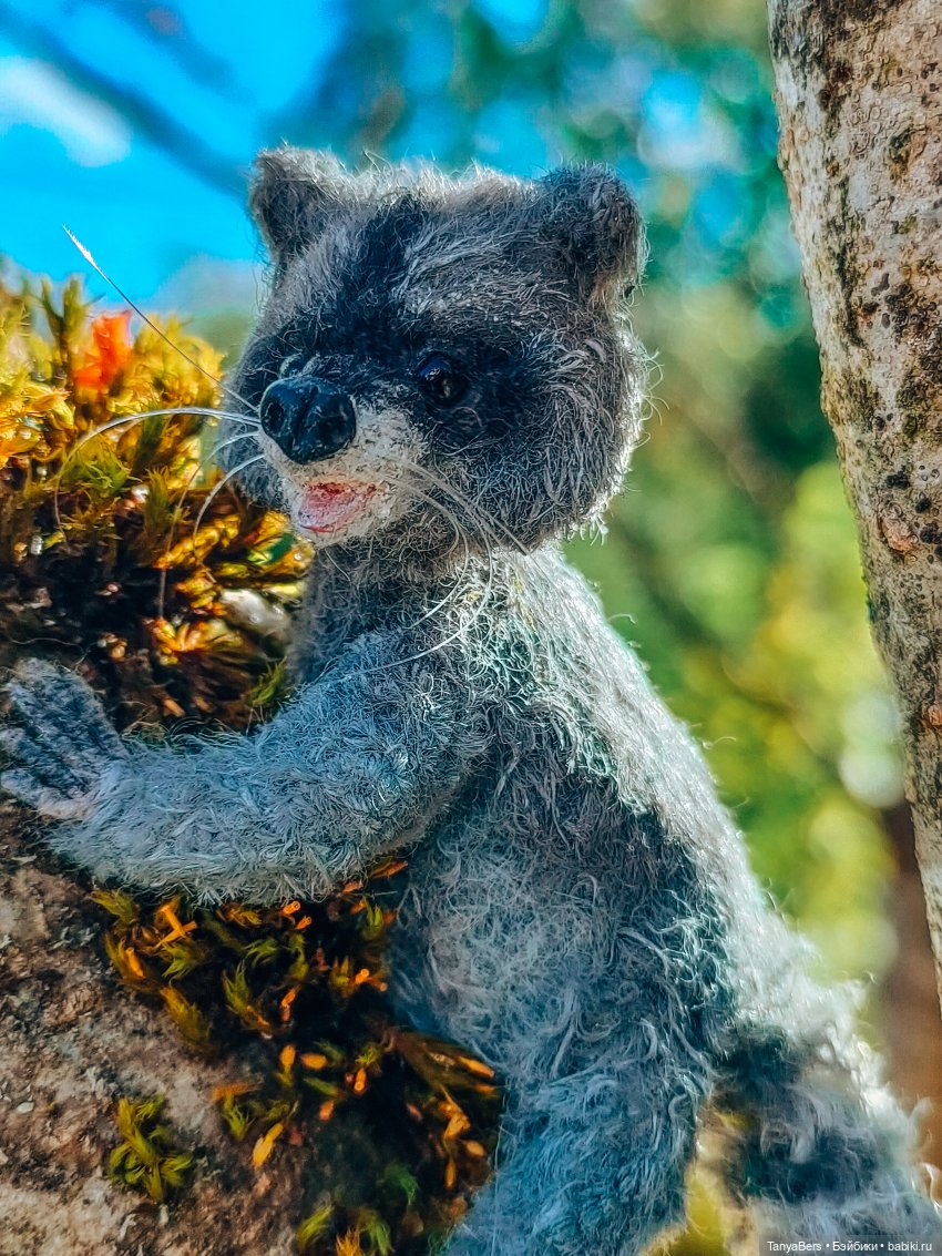 Время енота 🦝❤️✨ — Домашние фото авторских игрушек: Тедди